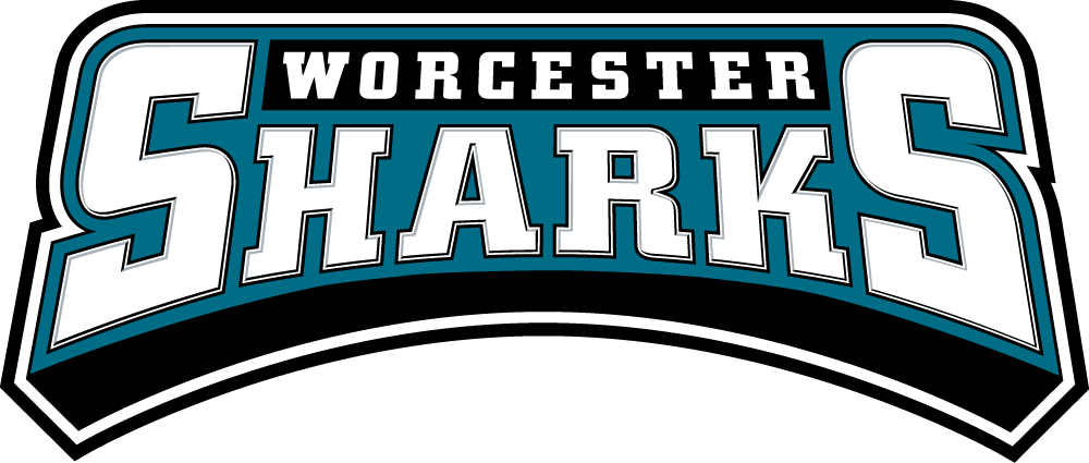 Worcester Sharks 2006 07-Pres Wordmark Logo iron on heat transfer